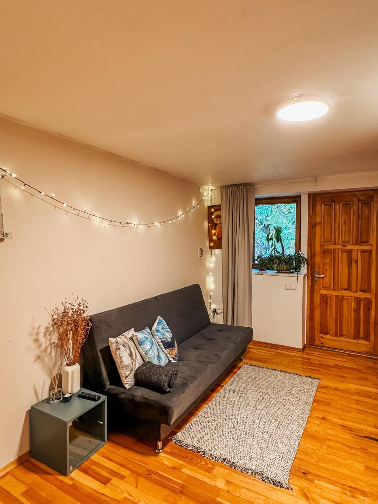 Little House Apartman Kaunas Kültér fotó